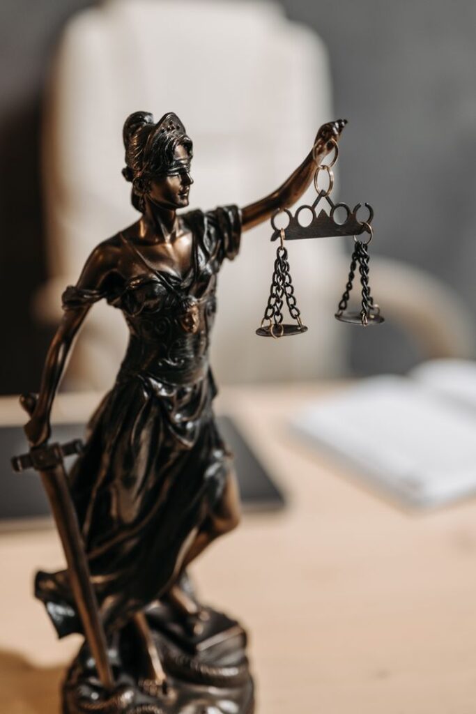Specializing in property-related disputes and representation in court.